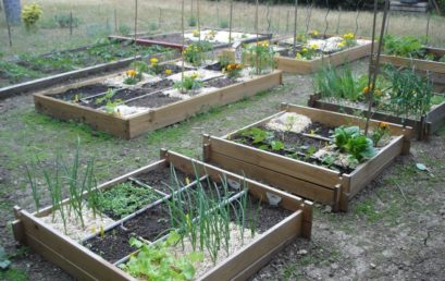 Un joli et fonctionnel carré potager