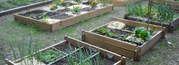 Un joli et fonctionnel carré potager