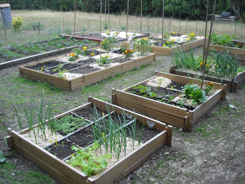 Un joli et fonctionnel carré potager