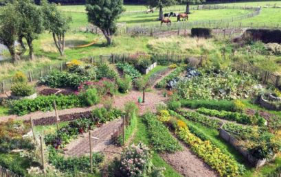 La permaculture et le sol