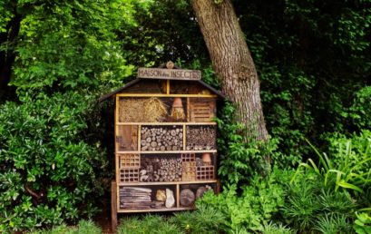 Une magnifique maison à insecte