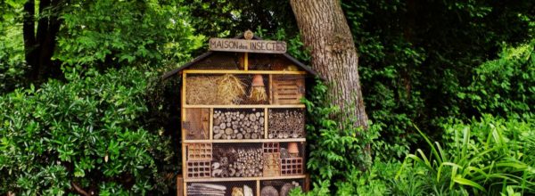 Maison pour insectes