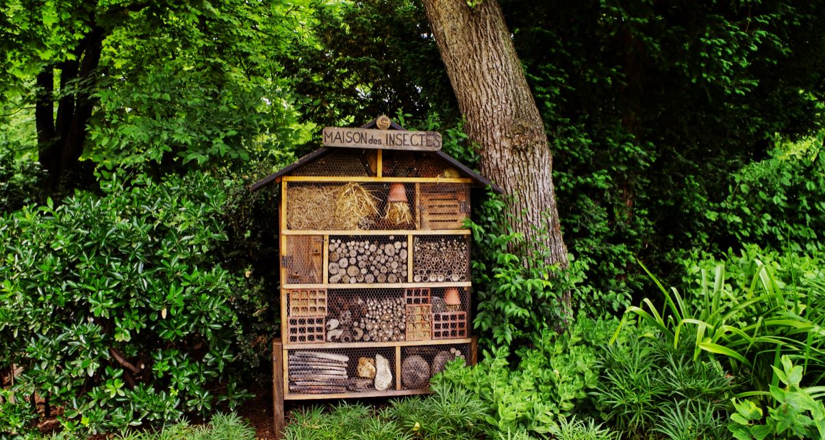 Une maison pour les insectes