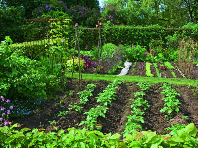 Préparer son potager pour l’hiver Préparer son potager pour l’hiver