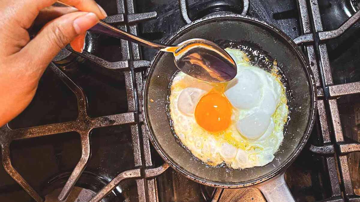 eggs