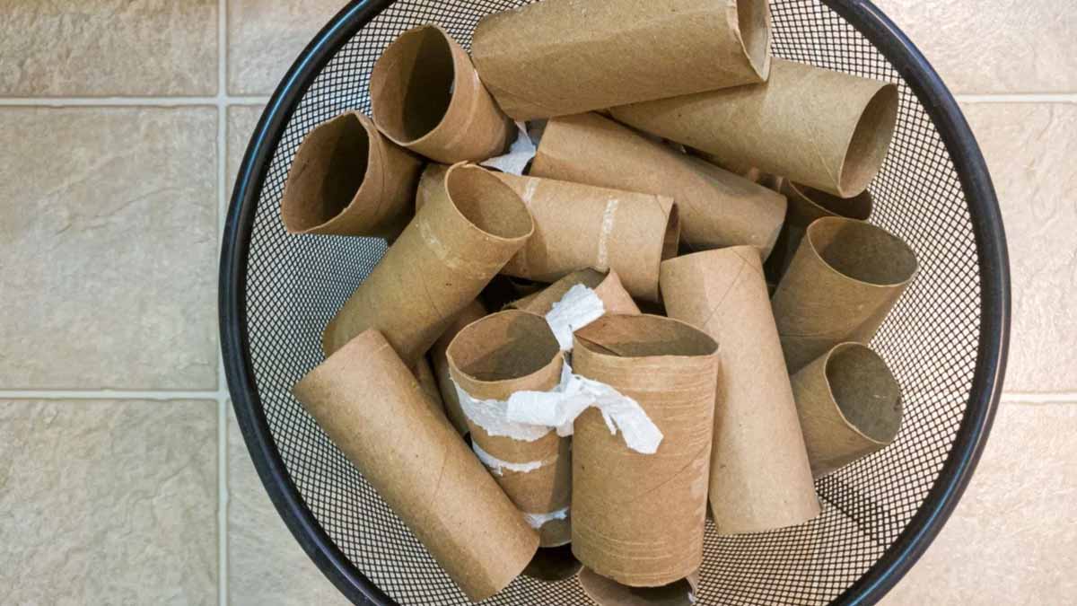 toilet paper rolls